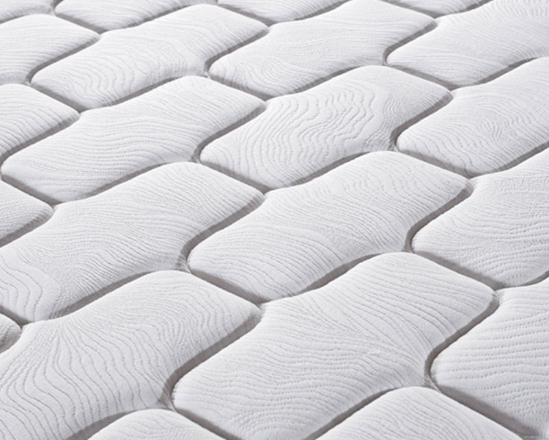 Tapa Florida Pocket 800x642